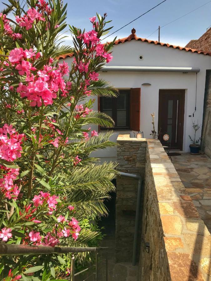 Astra-Ferienhaus Mit Grosser Dachterrasse Und Top-Ausstattung In Nas Armenistis  Exteriör bild